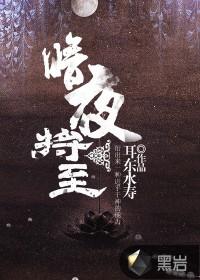 暗夜将至四大佬