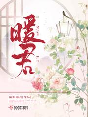暖君txt百度资源