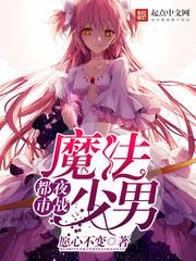 都市夜战之魔法少年