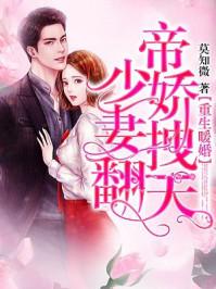 重生暖婚帝少的挚爱小娇妻