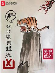 我的宠兽超级凶全集全本