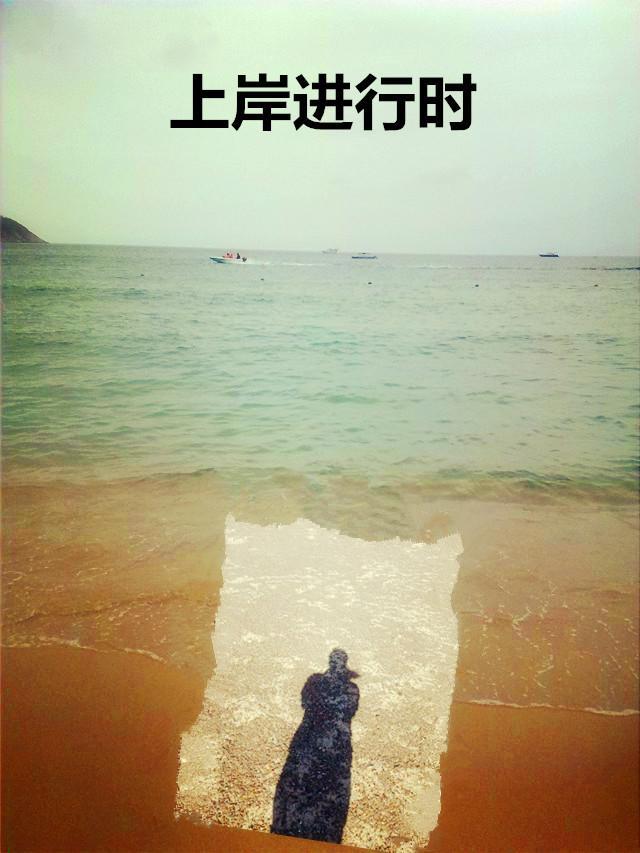 上岸指什么意思