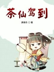 茶仙解说