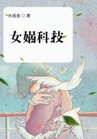 女娲科技排盘软件