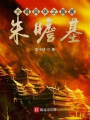 大明风华我是朱瞻基最新章节列表