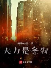 大力哥视频原声