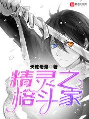 精灵训练师格斗道馆怎么过?