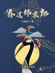 锦衣春秋写的是什么
