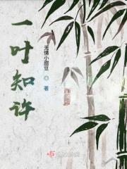 一叶知冬什么意思