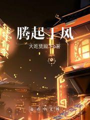 腾起于风音乐