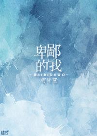 卑鄙的我2平装