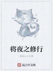 将夜修炼体系