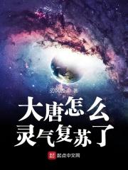 大唐怎么啦