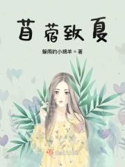 苜蓿起什么作用