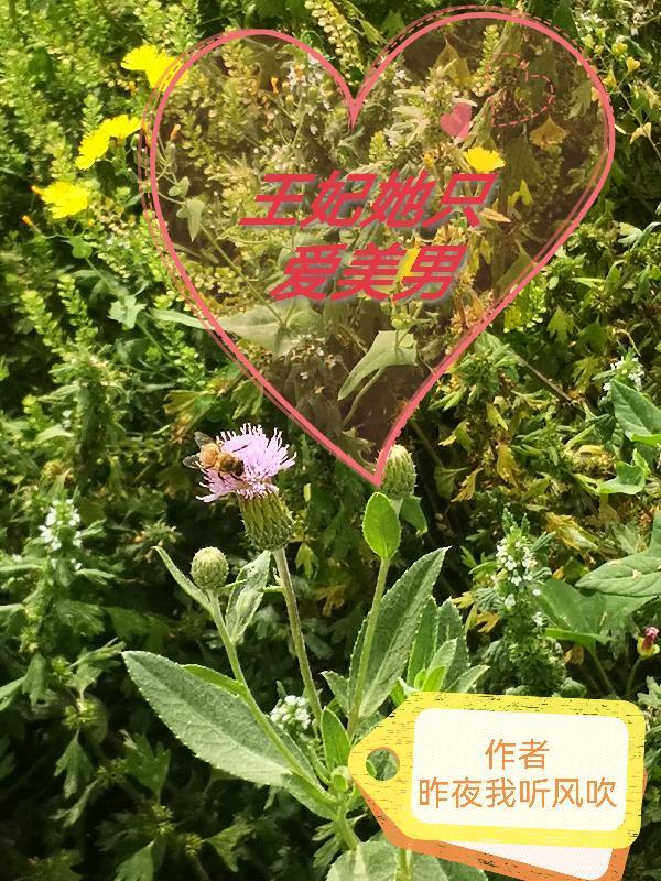 王妃她只想和离